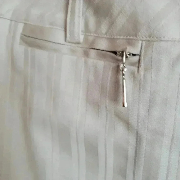 Jessica Sport Beige Tone on Tone Striped Pencil Skirt Front Closure sz14 - Picture 4 of 8